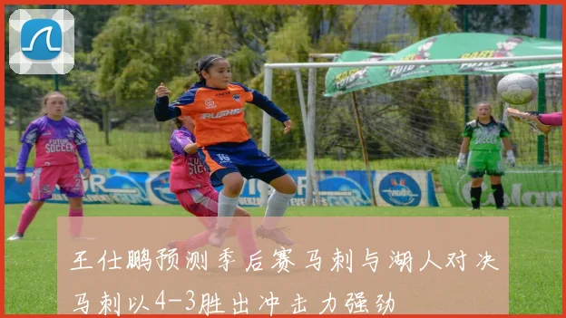王仕鹏预测季后赛马刺与湖人对决马刺以4-3胜出冲击力强劲